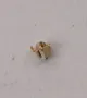 Samsung 3712001731 - 3712-001731 connector-terminal