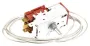 454421 - Gefrier thermostat