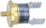 Saeco DM1288 Thermostat - Thermostat dampf 145 - 150°c