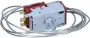 454421 - Gefrier thermostat