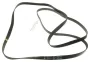 Hutchinson Poly-V-Riemen H - 1922h8 el poly-v riemen /rippenband