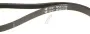 Brandt AS0040048 Riemen - Riemen