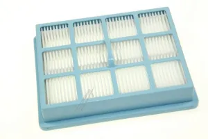Philips 432200493941 Staubsaugerfilter - Cp0425/01 filter, luft
