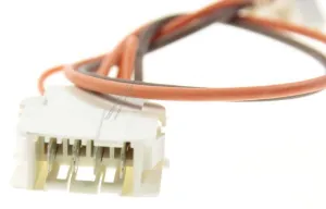 Arcelik Grundig Beko 2975193802 Stecker - Kabel