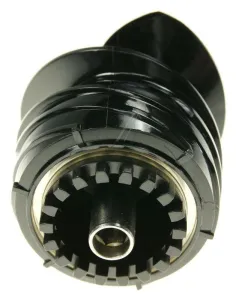 708624 Schnecke - Schnecke