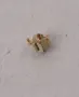 Samsung 3712001731 - 3712-001731 connector-terminal